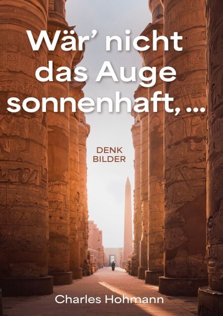 media/ebook/13238606_16lzzpbv_0