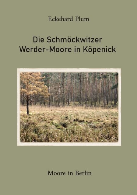 media/ebook/13238959_iq348tht_0