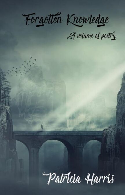 media/ebook/13240052_156qkatt_0