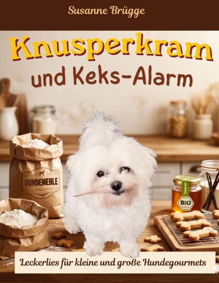 media/ebook/13240205_1ndqg892_0