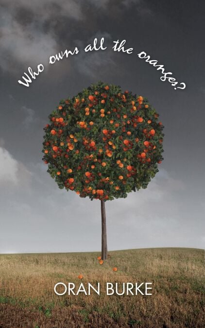 media/ebook/13241513_1gk9h1o0_0