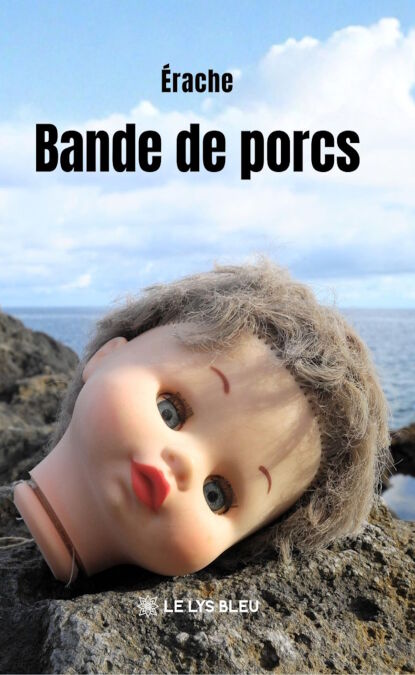 media/ebook/13241651_svypqhxq_0