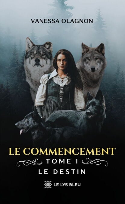 media/ebook/13241675_litclywn_0