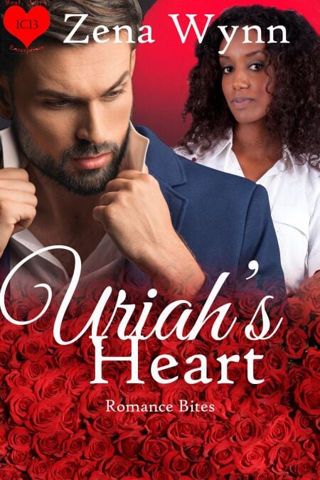 media/ebook/13246395_11b31bk1_0
