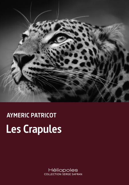 media/ebook/13246827_16r75ju7_0_b976e
