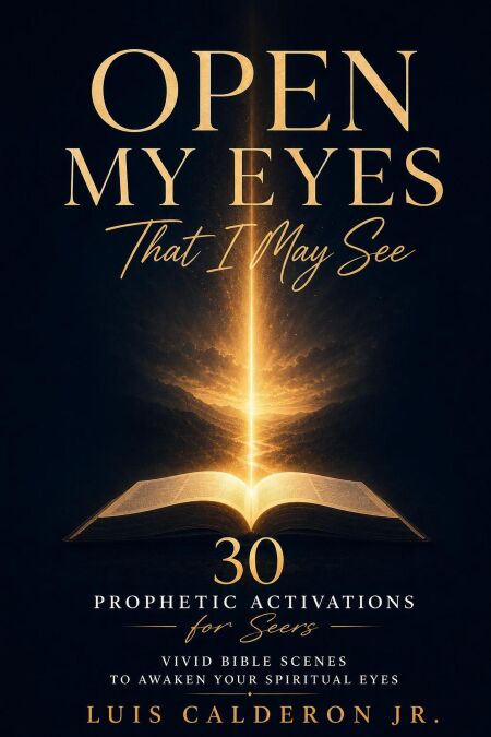 media/ebook/13247802_181ws85g_0