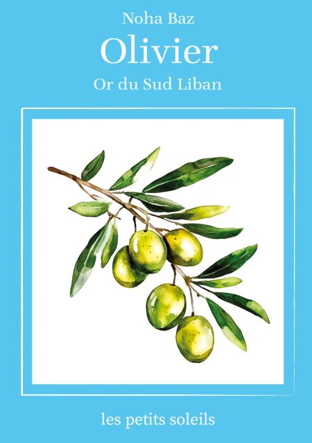 media/ebook/13247946_z2srpvi1_0