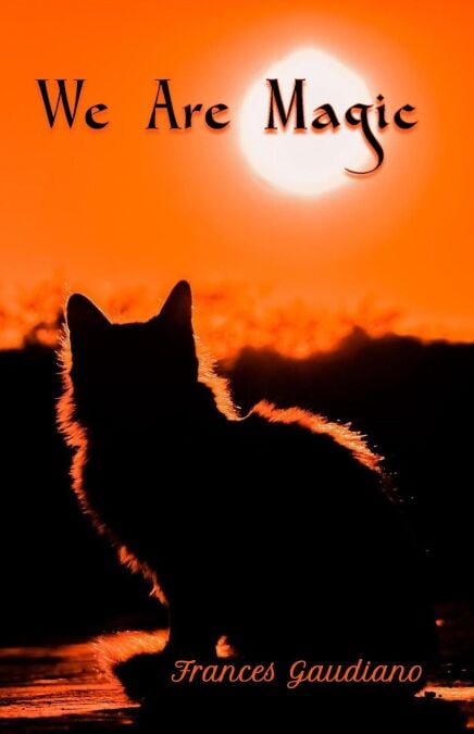 media/ebook/13249909_u6ka7ox7_0