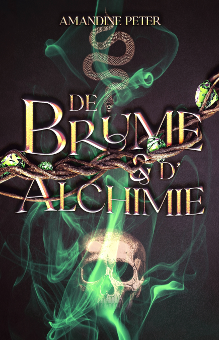 media/ebook/13253481_135bannw_0