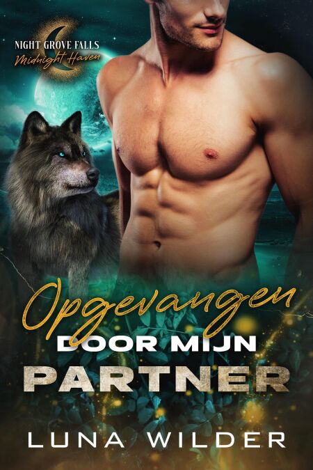 media/ebook/13254453_1wql4hqo_0