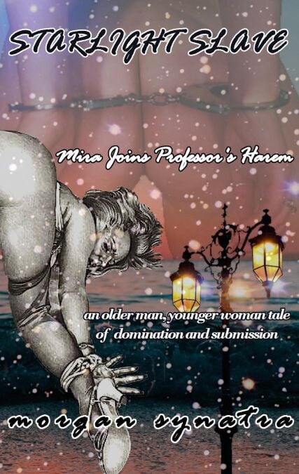 media/ebook/13256359_8677vnds_0