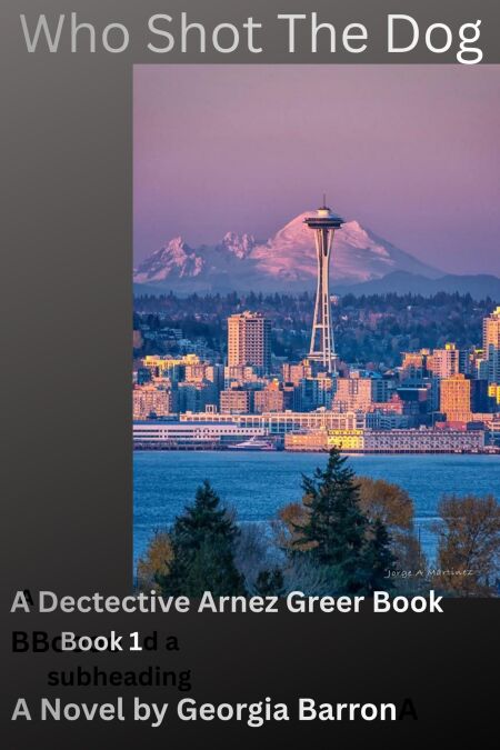 media/ebook/13260243_p6qnpqtc_0