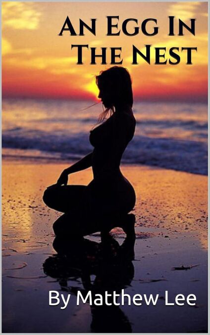 media/ebook/13270250_42s26wwy_0