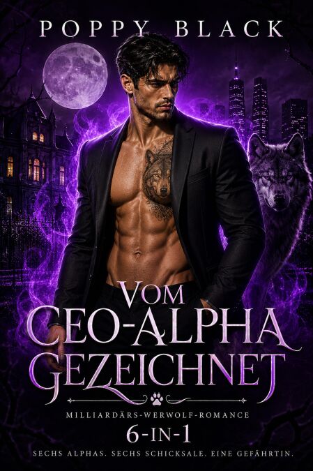 media/ebook/13273306_1wltrsog_0