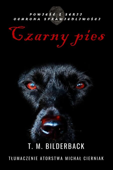 media/ebook/13273445_1e8cgr0g_0