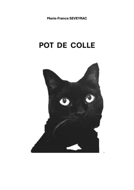 media/ebook/13273673_1q6yilme_0