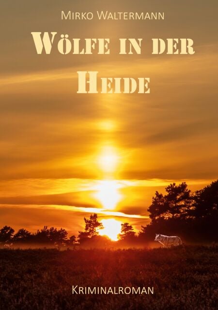 media/ebook/13275117_13c5qn6i_0
