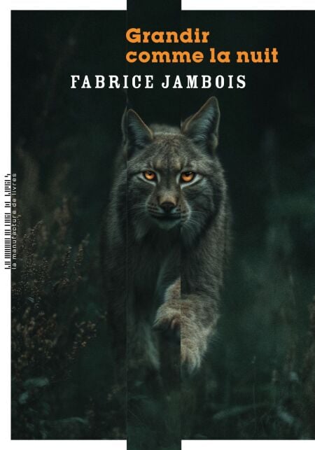 media/ebook/13283338_1lnuqhet_0