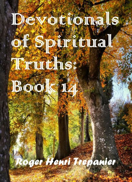 media/ebook/13287945_1t88dww4_0