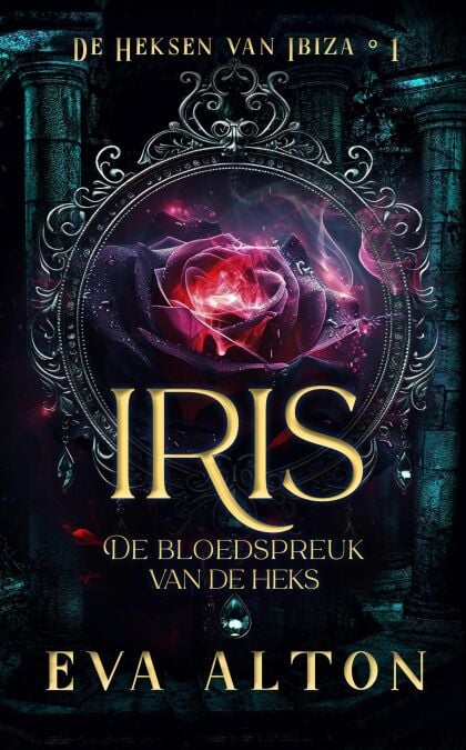 media/ebook/13288683_1fin3jus_0