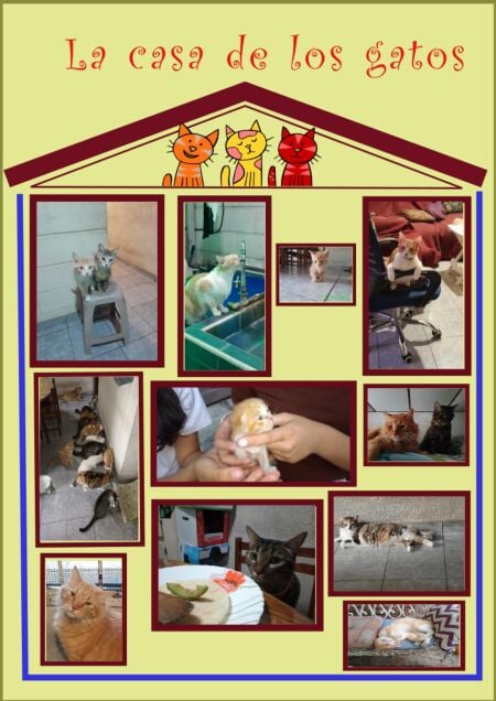 media/ebook/13289648_1fob7jl0_0