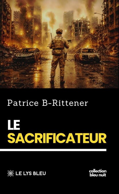 media/ebook/13290145_d9yglmwl_0