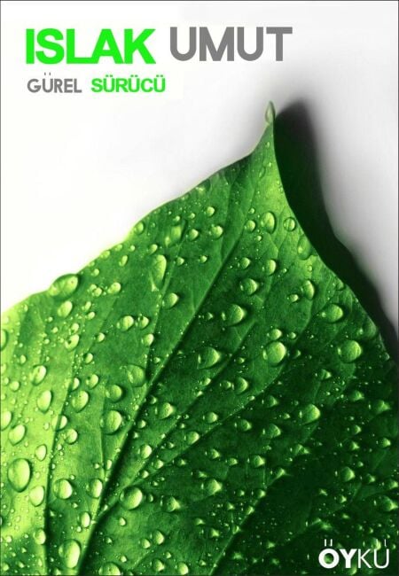media/ebook/13291552_28s6g3qt_0