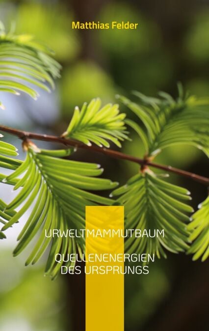 media/ebook/13324274_1tpwdkkf_0_41646