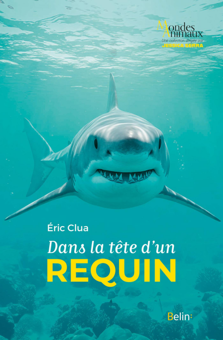 media/ebook/13335583_5fse53m4_0_1fa4a
