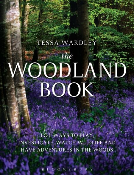 media/ebook/13363523_15wohbhs_0_5ce29