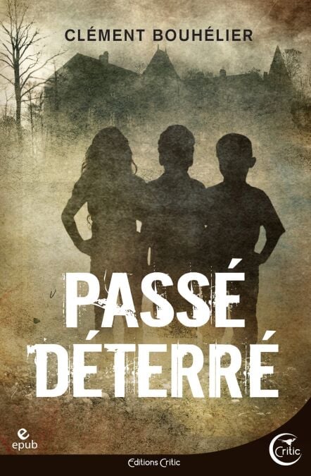 media/ebook/3362017_image_type_product_shot_VIVLIO_1_FR_d7525