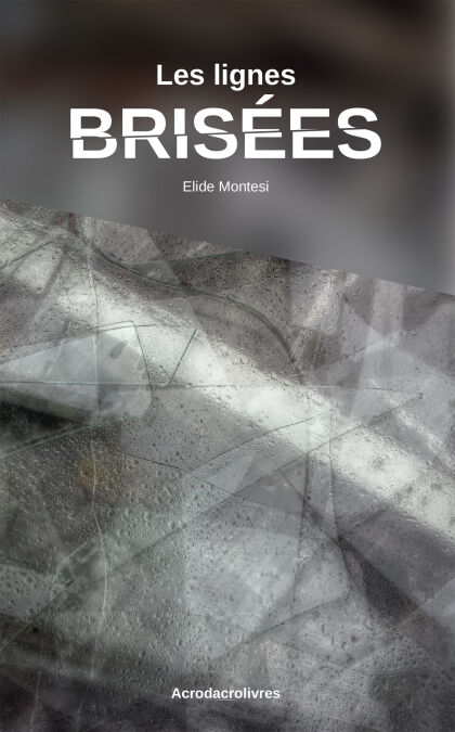 media/ebook/3376798_image_type_product_shot_VIVLIO_1_FR