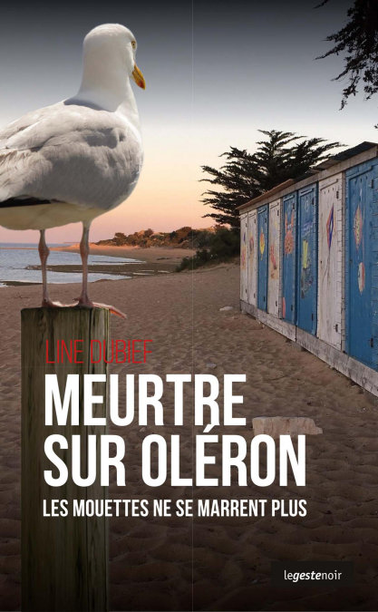 media/ebook/3382014_image_type_product_shot_VIVLIO_1_FR_7da68