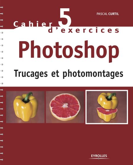 media/ebook/3382451_1o88thrv_0