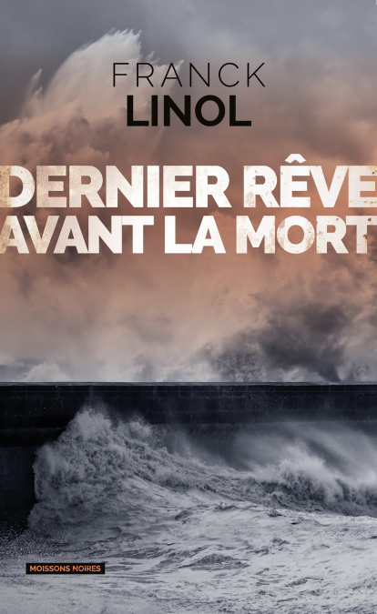 media/ebook/3428196_image_type_product_shot_VIVLIO_1_FR_9794f