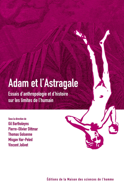 media/ebook/3459260_image_type_product_shot_VIVLIO_1_FR