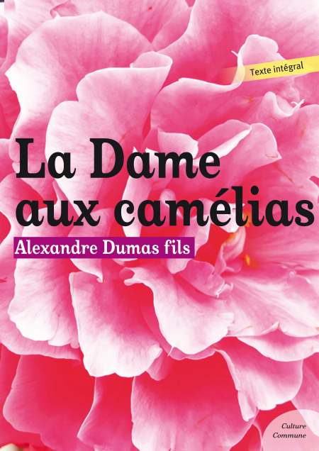 media/ebook/3459614_image_type_product_shot_VIVLIO_1_FR