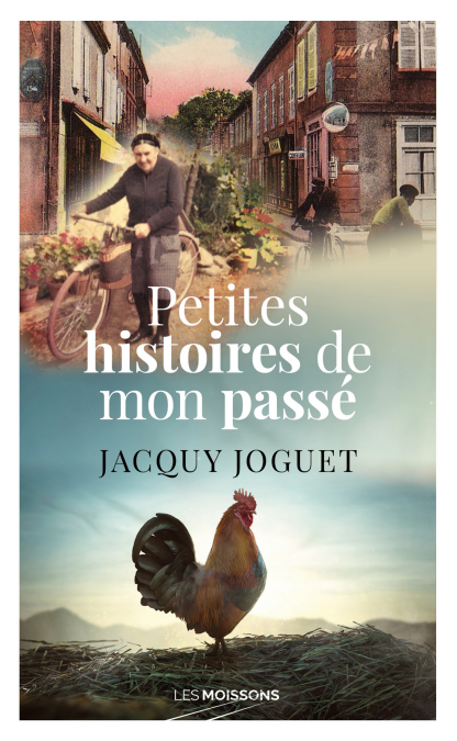 media/ebook/3956211_image_type_product_shot_VIVLIO_1_FR_e74fd
