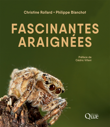 media/ebook/4025886_image_type_product_shot_VIVLIO_1_FR