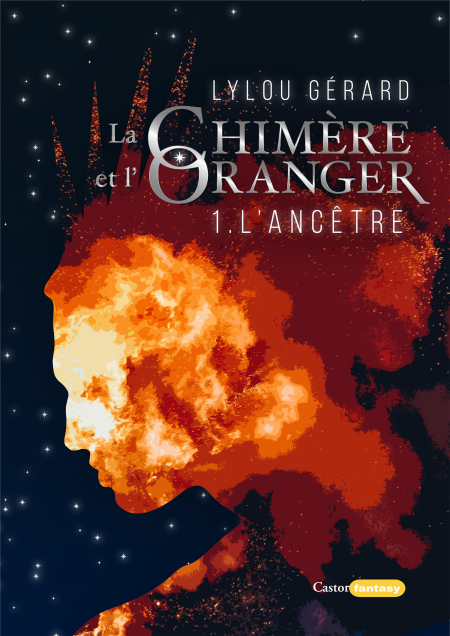 media/ebook/4070746_image_type_product_shot_VIVLIO_1_FR_afecd