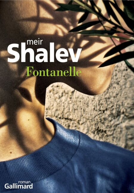media/ebook/4230273_image_type_product_shot_VIVLIO_1_FR