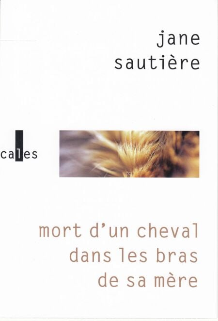 media/ebook/4231118_image_type_product_shot_VIVLIO_1_FR