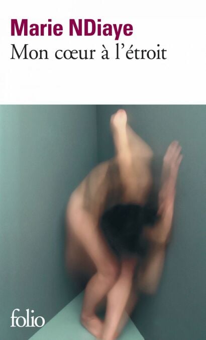 media/ebook/4231224_image_type_product_shot_VIVLIO_1_FR