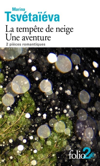 media/ebook/4231434_image_type_product_shot_VIVLIO_1_FR