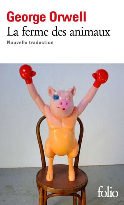 media/ebook/4232003_image_type_product_shot_VIVLIO_1_FR