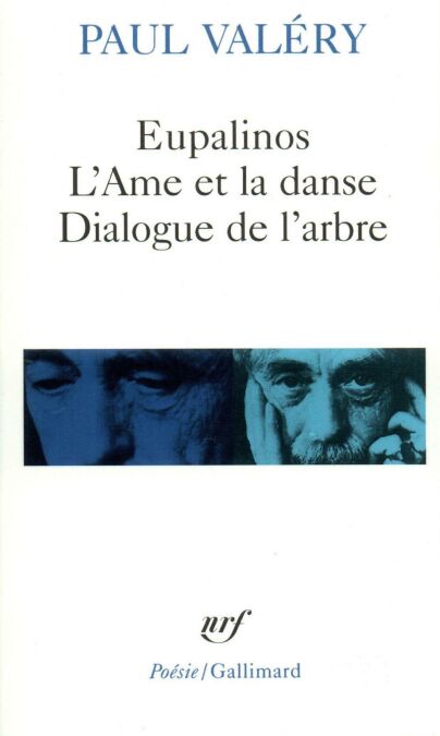 media/ebook/4232447_image_type_product_shot_VIVLIO_1_FR