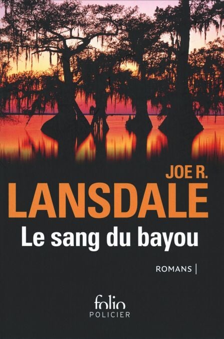 media/ebook/4232750_image_type_product_shot_VIVLIO_1_FR