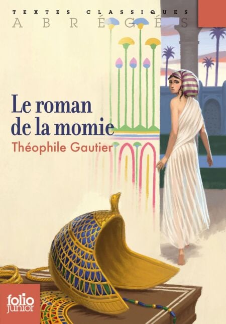 media/ebook/4233305_image_type_product_shot_VIVLIO_1_FR
