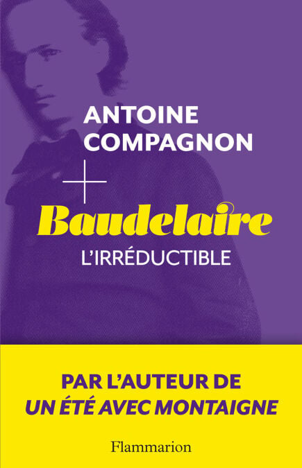 media/ebook/4233845_image_type_product_shot_VIVLIO_1_FR