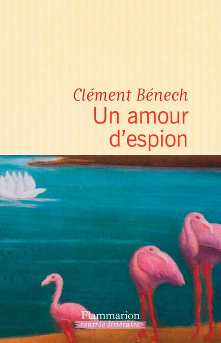 media/ebook/4234650_image_type_product_shot_VIVLIO_1_FR